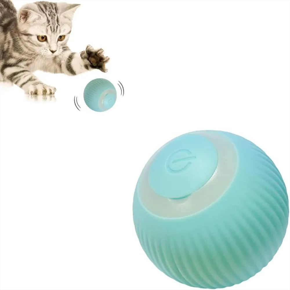 Bola Pelota Magica Gatos