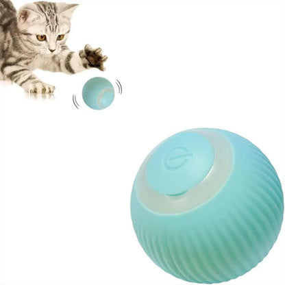 Bola Pelota Magica Gatos