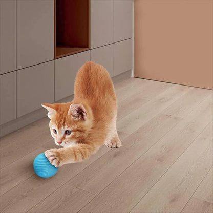 Bola Pelota Magica Gatos