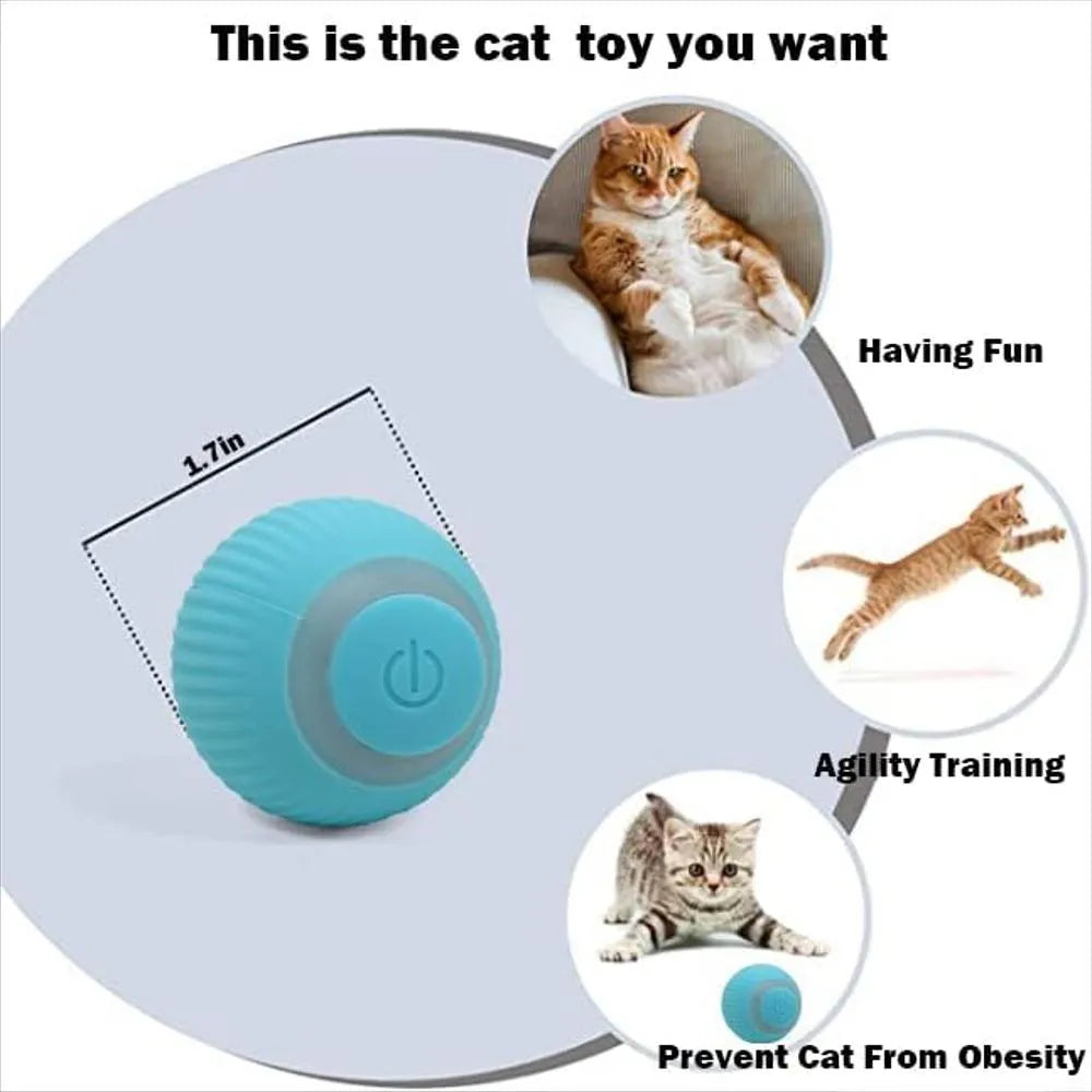 Bola Pelota Magica Gatos